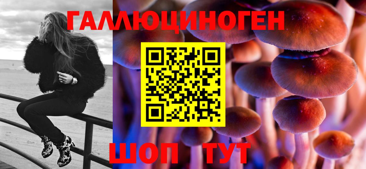 Псилоцибиновые грибы прущие грибы Белореченск
