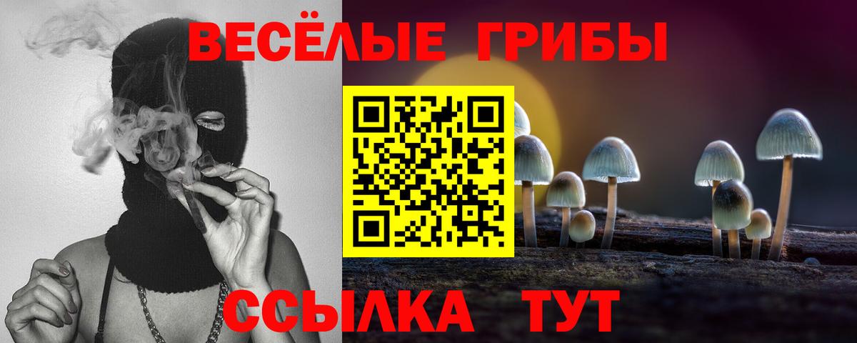 Белореченск  Псилоцибиновые грибы Magic Shrooms  Вход с VPN 